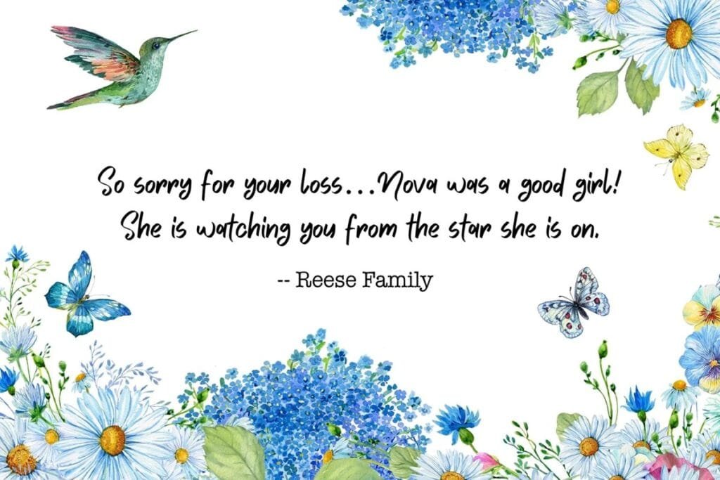 Personalized sympathy message card with watercolor florals, a thoughtful gift for a grieving pet owner